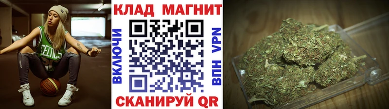 Купить наркотик Новозыбков A PVP Псилоцибиновые грибы ГАШИШ COCAIN Мефедрон