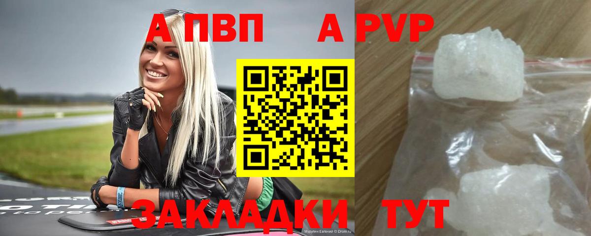 APVP СК Новозыбков