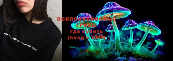 apvp Покровск