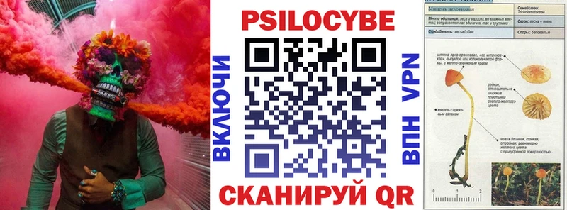 MEGA маркетплейс Новозыбков Псилоцибиновые грибы Psilocybe