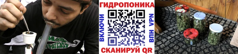 mega как войти  Новозыбков  Бошки Шишки сатива  продажа наркотиков 